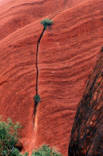 A living Uluru