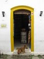 Sleeping dog outside a Cachaça shop