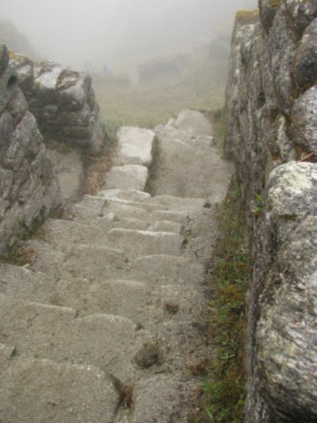 Inca steps