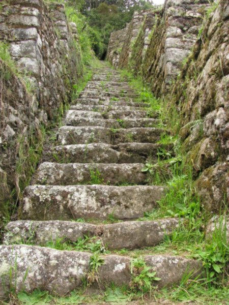 Steps on Winaywayna Terraces