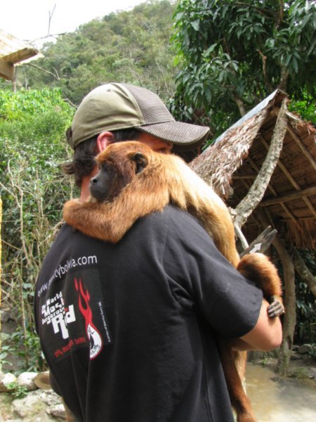 Dale & Red Howler Monkey