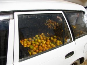 A car full of oranges