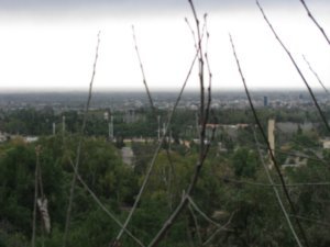 View of Mendoza from the zoo