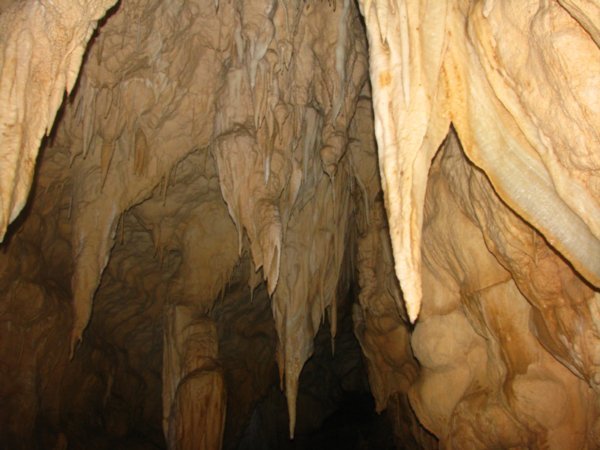 Ruakuri Caves