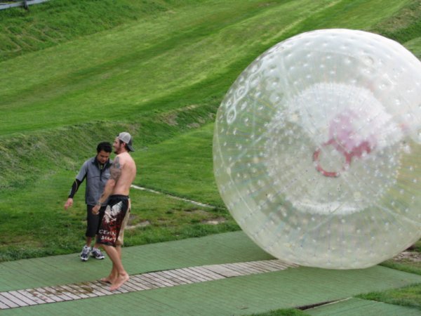 Dale out the zorb!