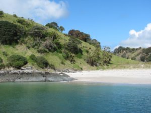 Beach on the Bay of Islands