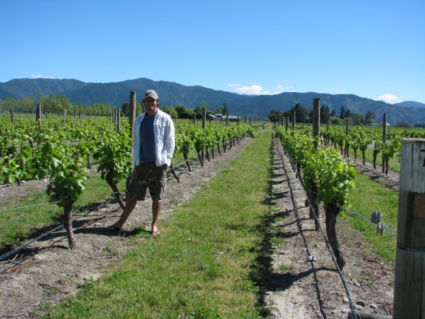 Dale in the vineyards