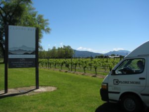 Van in the vineyards!