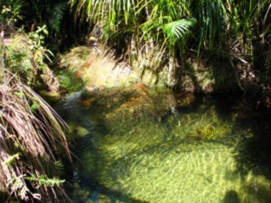 Lagoons in Abel Tasman