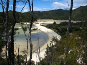 More beaches in Abel Tasman