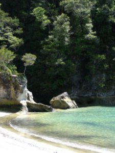Beach in Abel Tasman