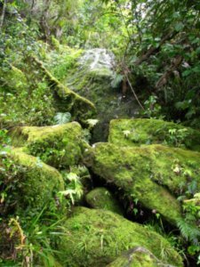 Waterfall in Abel Tasman