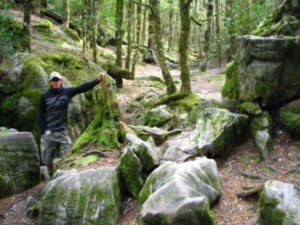 Dale in Chetwood Forest