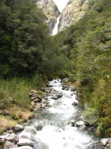 Stream in Arthurs Pass National Park