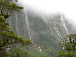 Cliffs in Fiordland National Park