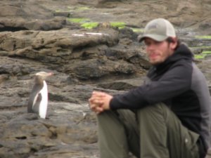 Dale and the Yellow eyed Penguin