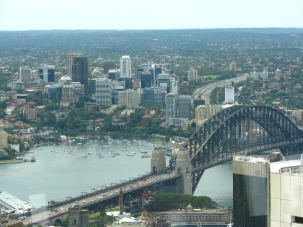Sydney Harbour Bridge from the Tower