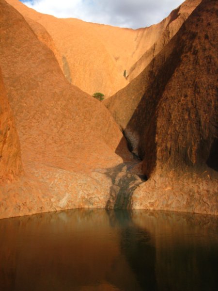 Watering hole at Uluru