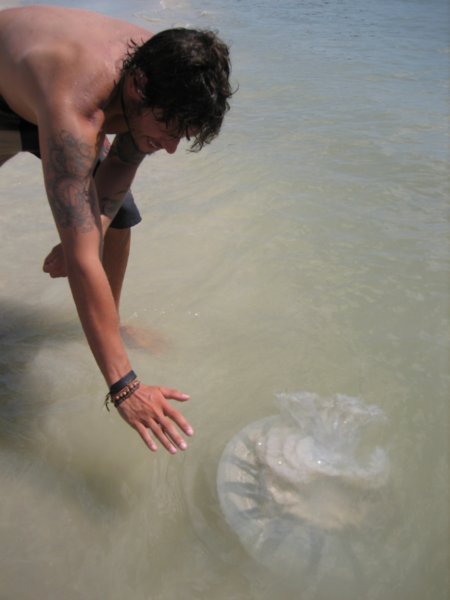 Dale and the dead jellyfish