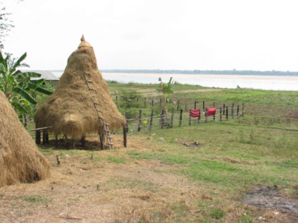 haystacks along the Mekong