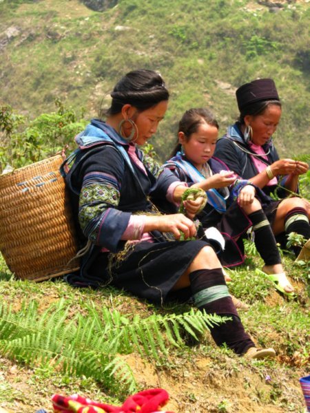 Hmong people weaving