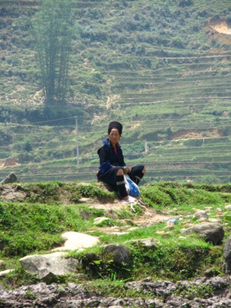 Hmong lady on hill