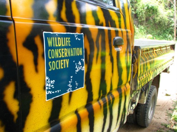 Conservation office vehicle
