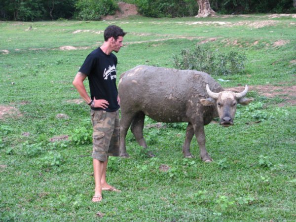 Dale and buffalo