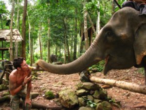 Dale feeding the elephant