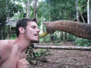 Dale feeding the elephant