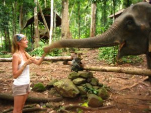 Sophie feeding the elephant