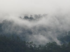 Low Cloud in Mae Hong Son