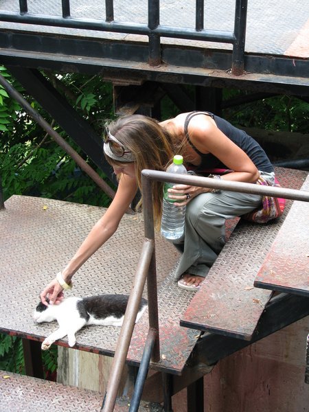 Sophie found a friend on The Bridge over the River Kwai!