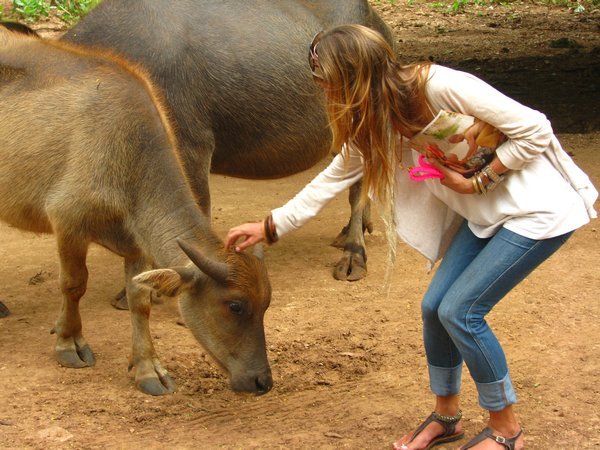 Sophie and the water buffalo