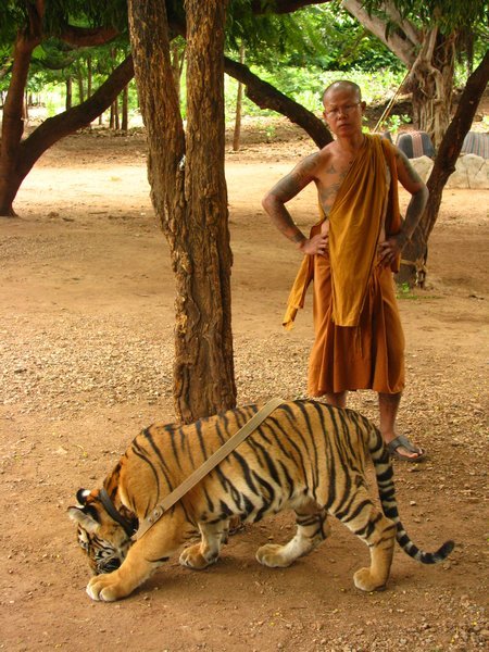 Monk walking tiger