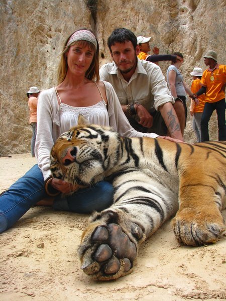Us and the tiger