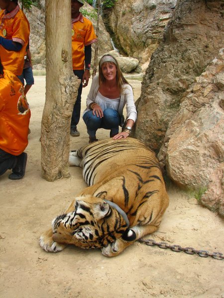 Sophie and the tiger