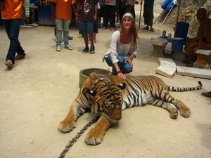 Sophie and the tiger