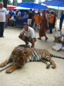 Dale and the tiger