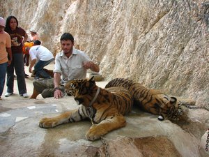 Dale and the tiger