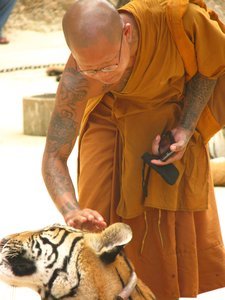 Monk & tiger