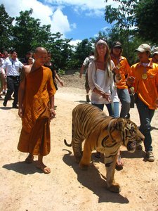 Sophie walking the tiger