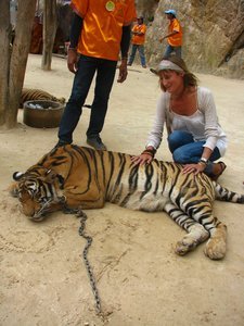 Sophie stroking a tiger