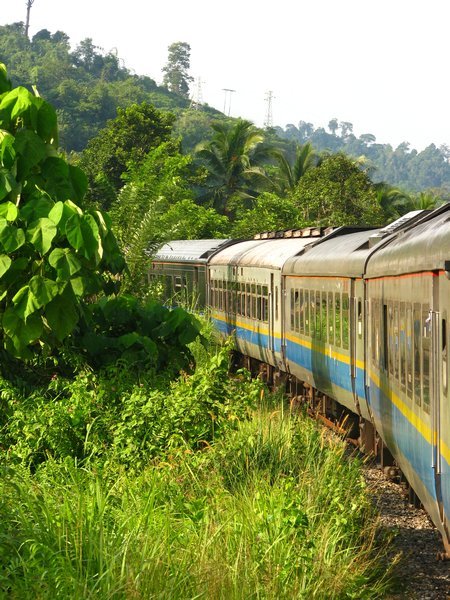 Jungle Railway