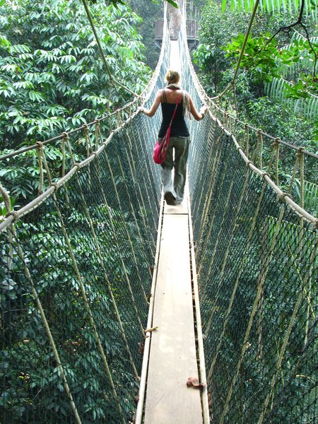 Sophie on the canopy walkway