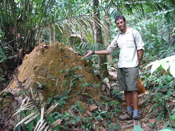 Dale and the termite mound
