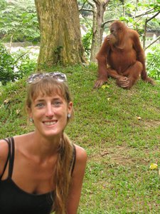 Sophie and the Orangutan