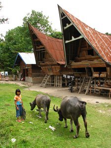Batak Houses