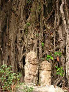 Good fortune statues under a Banyan tree