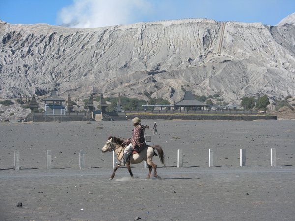 Horseman on the sand desert